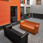 Rent 20 bedroom apartment in Newcastle