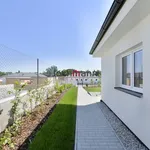 Rent 1 bedroom house of 500 m² in České Budějovice