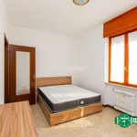 Rent 3 bedroom apartment of 100 m² in Busto Arsizio