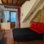 Rent 1 bedroom apartment of 35 m² in Firenze