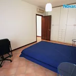 Rent 2 bedroom apartment of 55 m² in Novara