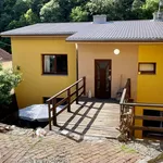 Rent 2 bedroom apartment of 40 m² in Brno