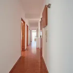 Rent 5 bedroom apartment in Lisbon