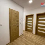 Pronajměte si 2 ložnic/e byt o rozloze 55 m² v Ostrava