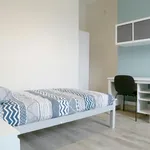 Rent 8 bedroom apartment in Dublin