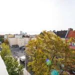 Rent 2 bedroom apartment of 53 m² in berlin