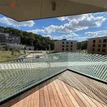 Rent 2 bedroom apartment of 53 m² in Trhový Štěpánov