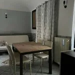 Rent 2 bedroom apartment of 50 m² in Turin