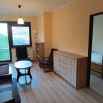 Rent 2 bedroom apartment of 33 m² in Szczecin