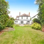 Rent 5 bedroom house in East Of England