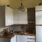 Rent 4 bedroom apartment of 120 m² in Cremona