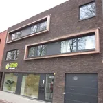 Huur 1 slaapkamer appartement in Brasschaat