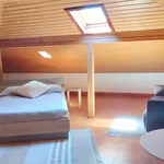 Rent a room of 25 m² in Ribeira Brava