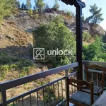 ενοικιαζεται studio 25 τ.μ. - unlock real estate and more