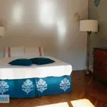 Rent 5 bedroom apartment of 150 m² in Turin