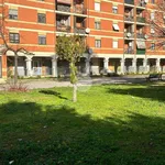 Rent 1 bedroom apartment of 55 m² in Roma