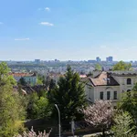 Rent 20 bedroom apartment of 195 m² in Prague