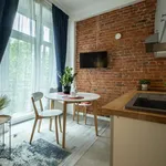 Rent 1 bedroom apartment of 24 m² in Łódź