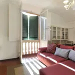 Rent 1 bedroom apartment in bologna