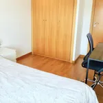 Rent 5 bedroom apartment in Castelló de la plana