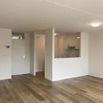 Huur 3 slaapkamer appartement van 65 m² in Eindhoven