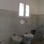 Rent 5 bedroom apartment of 110 m² in Colleferro