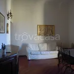 Rent 3 bedroom apartment of 110 m² in Firenze