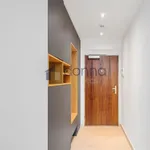 Rent 3 bedroom apartment in Prague