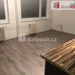 Rent 1 bedroom apartment in Kladno