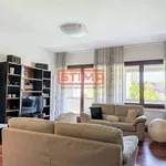 Rent 5 bedroom apartment of 120 m² in Treviso