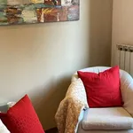 Rent 1 bedroom apartment in milan