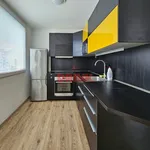 Rent 1 bedroom apartment of 38 m² in Mladá Boleslav