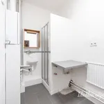 Rent 2 bedroom apartment of 45 m² in Prague