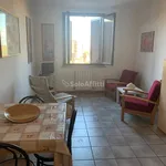 Rent 3 bedroom apartment of 75 m² in Siena