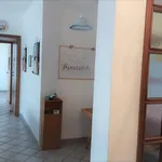 Rent 2 bedroom house of 100 m² in nettuno