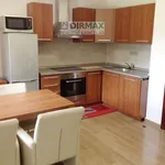 Rent 2 bedroom apartment of 41 m² in Železná Ruda