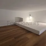 Rent 1 bedroom apartment of 32 m² in Brno