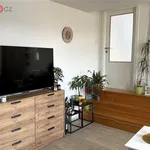 Rent 3 bedroom apartment of 70 m² in Svitavy