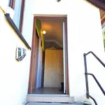 Rent 1 bedroom apartment in Plzeň-jih