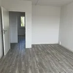 Rent 4 bedroom apartment of 92 m² in Chemnitz