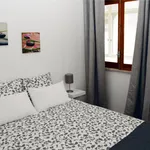 Rent 1 bedroom apartment in Lisbon