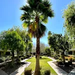 Rent 1 bedroom house in Palm Springs