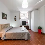 Rent 1 bedroom apartment in Florence