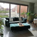 Rent 1 bedroom apartment in Leuven