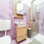 Rent 1 bedroom apartment of 60 m² in Zagreb