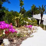 Rent 6 bedroom house in Ibiza