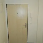 Rent 1 bedroom apartment in Brno