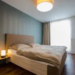 Rent 2 bedroom apartment of 120 m² in Prague