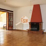 Rent 1 bedroom apartment of 125 m² in Municipal Unit of Rio