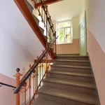 Rent 2 bedroom apartment of 42 m² in Chemnitz